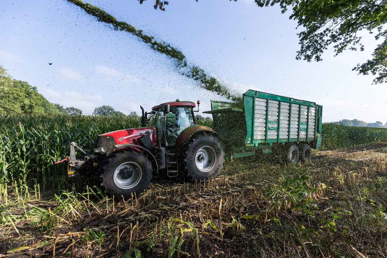 Bild 198 - Maisernte